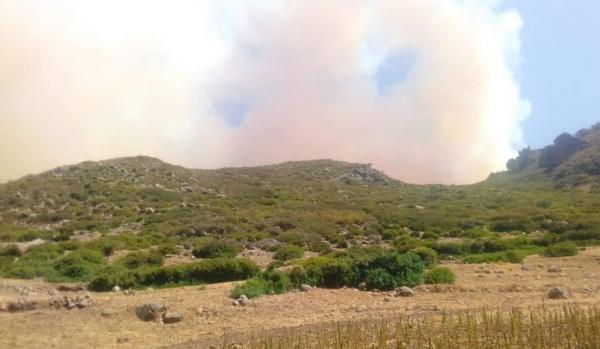 حريق جديد يهز ضواحي شفشاون وجهود متواصلة لإخماد النيران